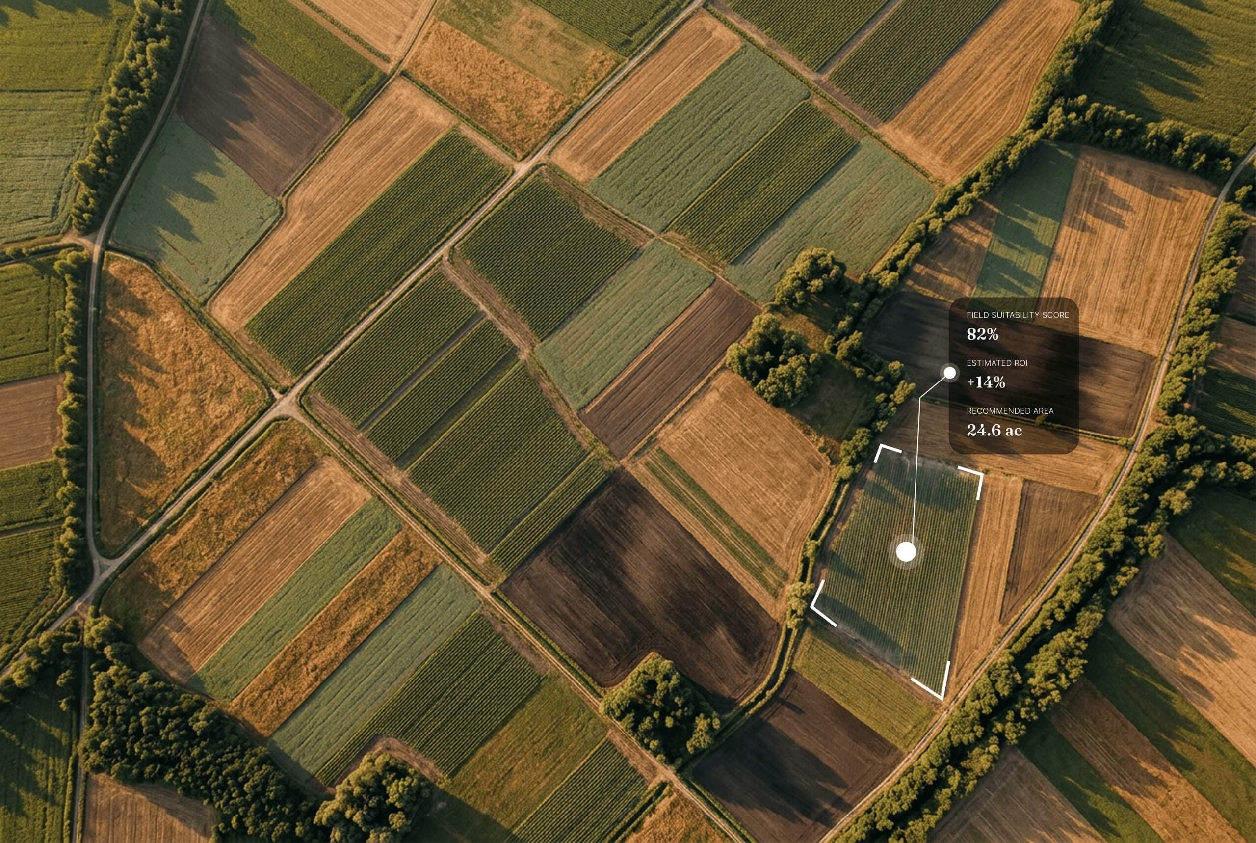 Aerial view of agricultural fields